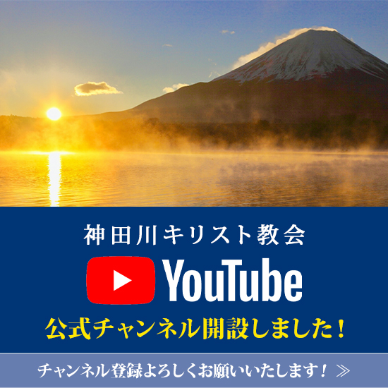 動画配信中